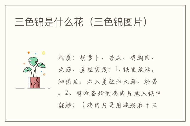 三色锦是什么花（三色锦图片）