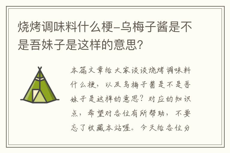 烧烤调味料什么梗-乌梅子酱是不是吾妹子是这样的意思？