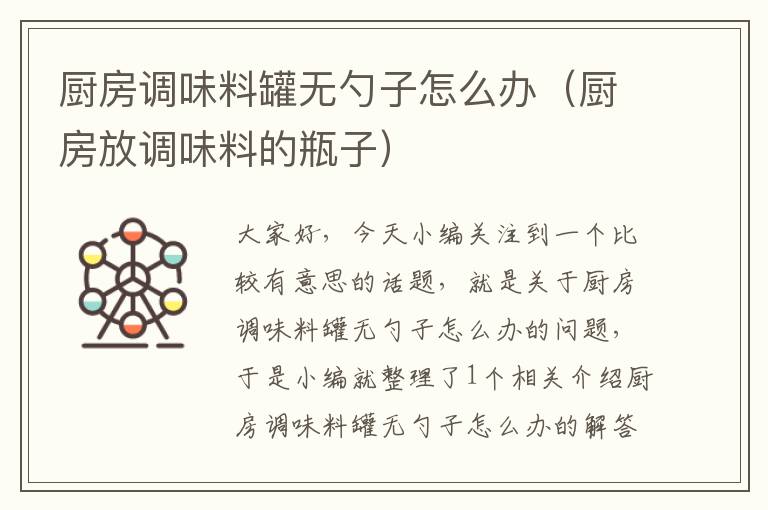 厨房调味料罐无勺子怎么办（厨房放调味料的瓶子）