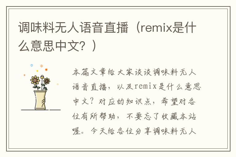 调味料无人语音直播（remix是什么意思中文？）