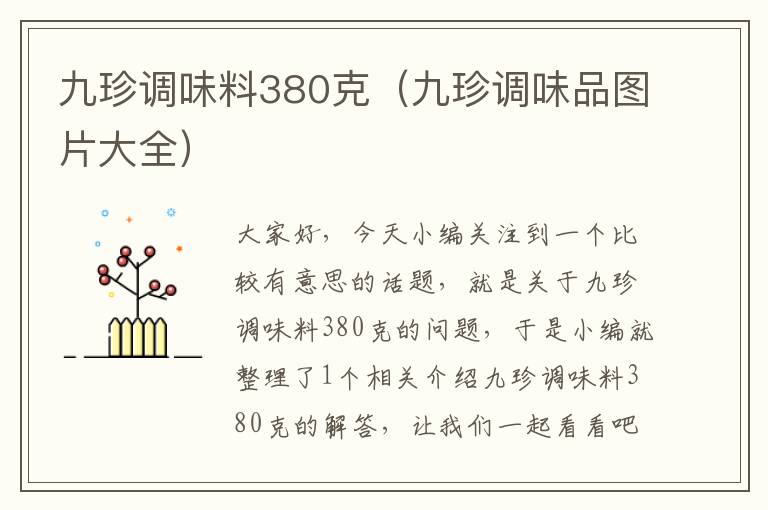 九珍调味料380克（九珍调味品图片大全）