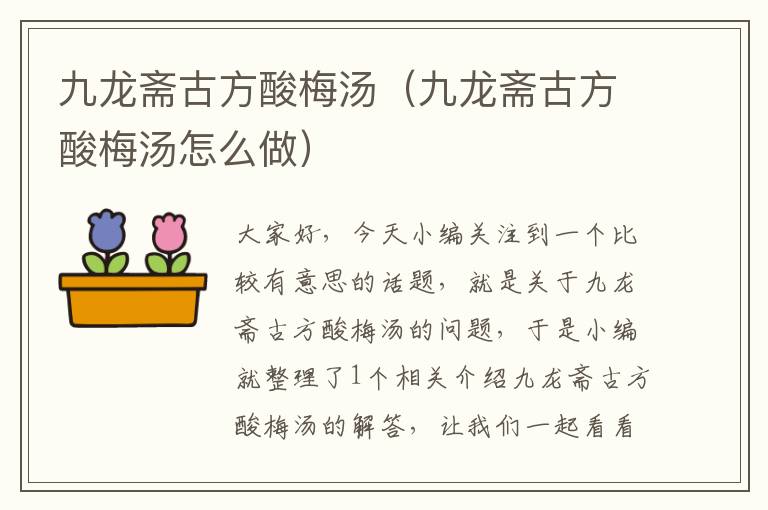 九龙斋古方酸梅汤（九龙斋古方酸梅汤怎么做）