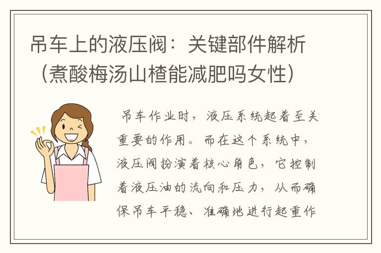 吊车上的液压阀：关键部件解析（煮酸梅汤山楂能减肥吗女性）