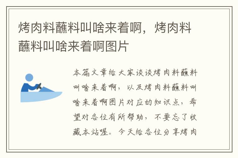 烤肉料蘸料叫啥来着啊，烤肉料蘸料叫啥来着啊图片