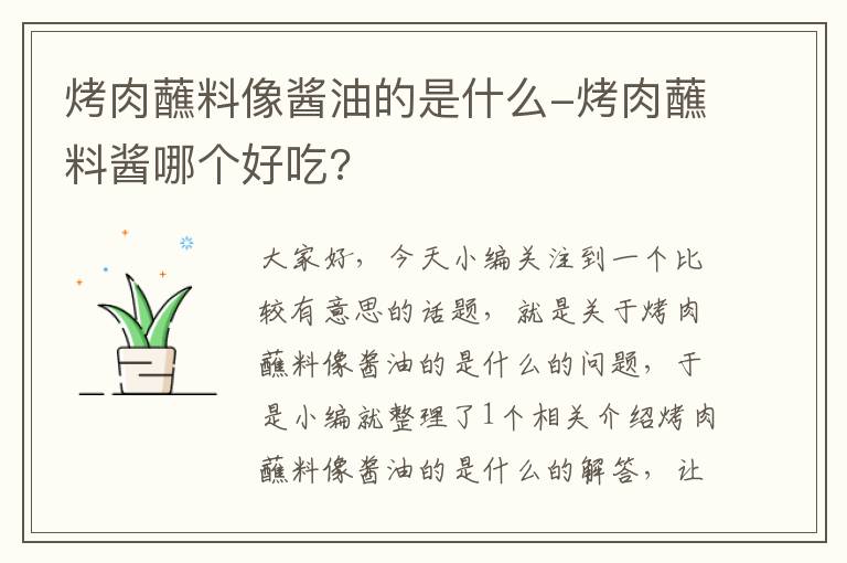 烤肉蘸料像酱油的是什么-烤肉蘸料酱哪个好吃?