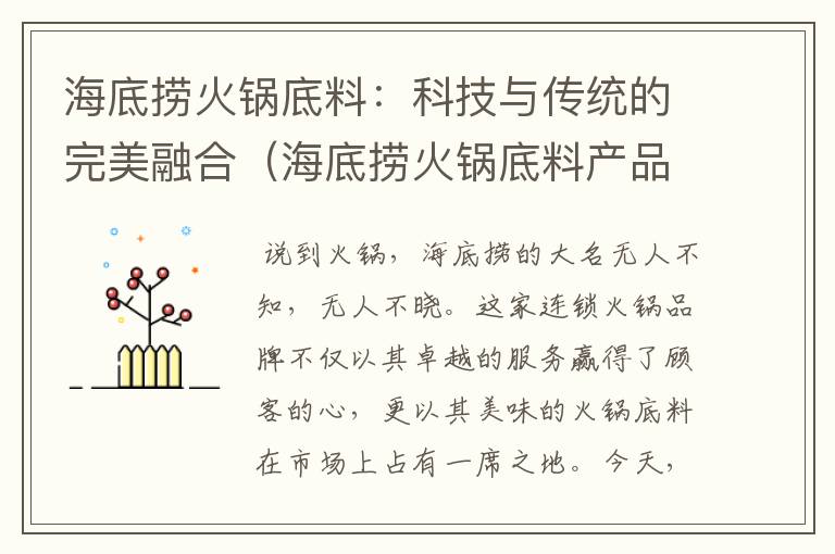 海底捞火锅底料：科技与传统的完美融合（海底捞火锅底料产品介绍）