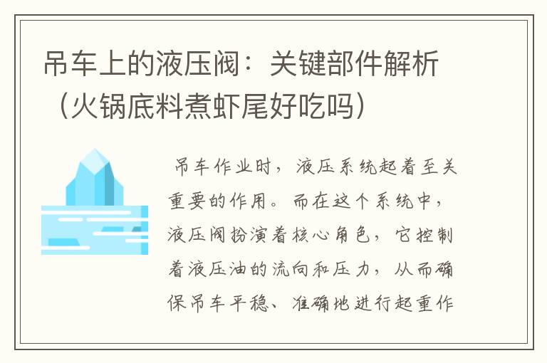 吊车上的液压阀：关键部件解析（火锅底料煮虾尾好吃吗）