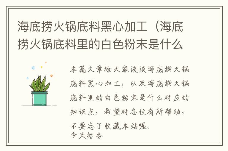 海底捞火锅底料黑心加工（海底捞火锅底料里的白色粉末是什么）