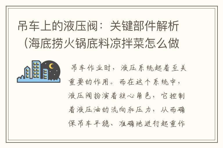 吊车上的液压阀：关键部件解析（海底捞火锅底料凉拌菜怎么做的）