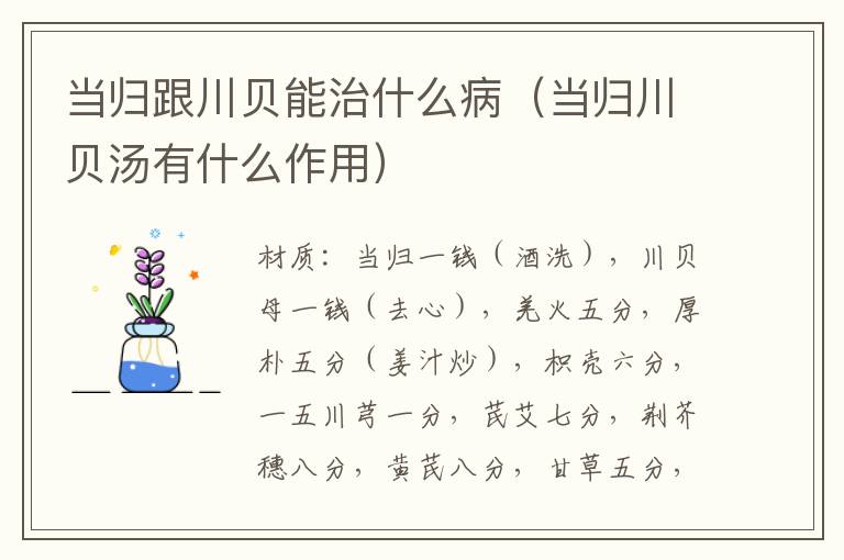 当归跟川贝能治什么病（当归川贝汤有什么作用）