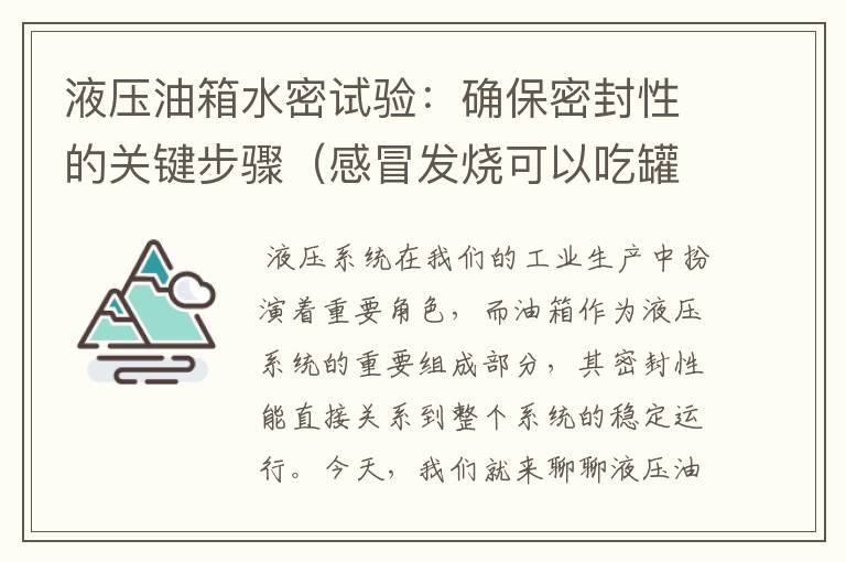 液压油箱水密试验：确保密封性的关键步骤（感冒发烧可以吃罐头鱼吗）