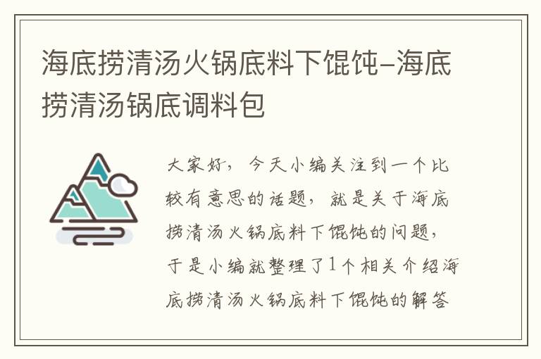 海底捞清汤火锅底料下馄饨-海底捞清汤锅底调料包