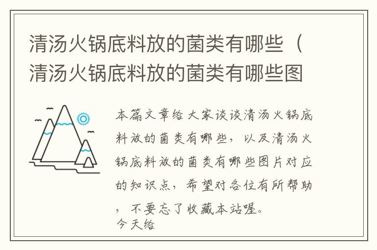 清汤火锅底料放的菌类有哪些（清汤火锅底料放的菌类有哪些图片）