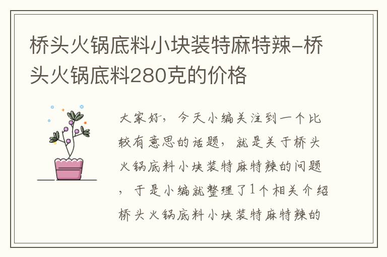 桥头火锅底料小块装特麻特辣-桥头火锅底料280克的价格